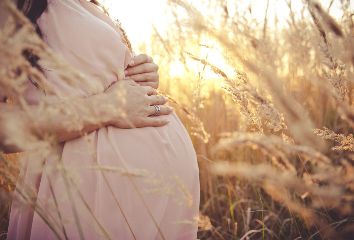 Femme enceinte caressant son ventre dans un champ doré, au coucher du soleil, incarnant la maternité en conscience Femme enceinte caressant son ventre dans un champ doré, au coucher du soleil, incarnant la maternité en conscience